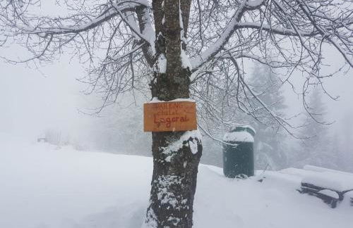 Chalet Lagorai - Foto 2