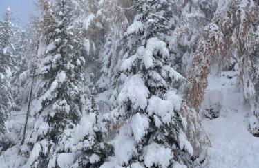 Col Dala Vara - Foto 61