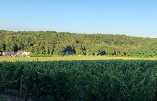 Gite de la fontaine Bondrée - Foto 10