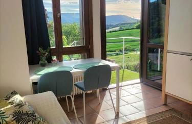 Eguzkilore Larunbe apartamento - Foto 13