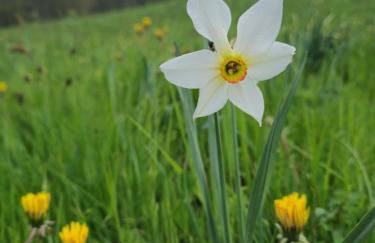 Gite le petit Ely - Photo 15