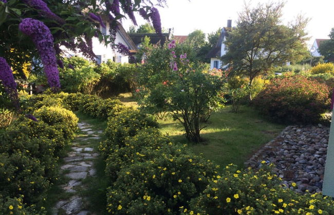 Red-throated Diver Modern Retreat - Foto 15