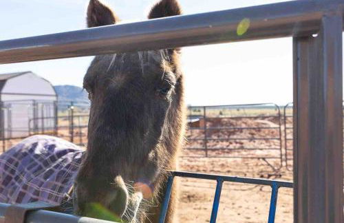 Dusty Rose The Wild West 40 Homestead - Foto 21