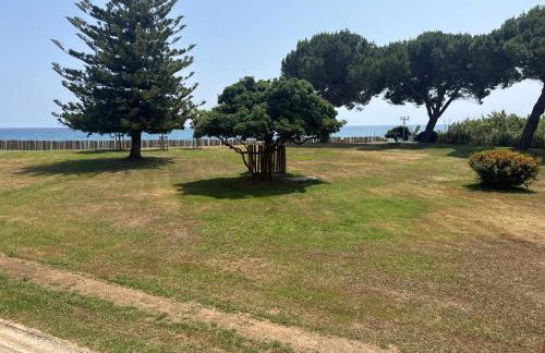 Appartement n 216 Moriani plage - Foto 49