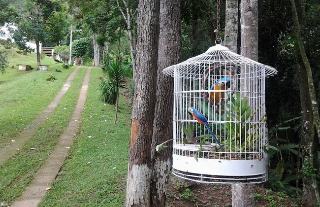 Chácara do Alemão - Recanto Jd.Silvestre - Foto 46