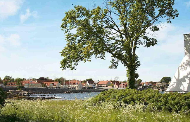 4 Person Holiday Home in Svaneke - Foto 21