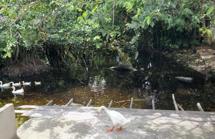 Casa da lagoa - Foto 26