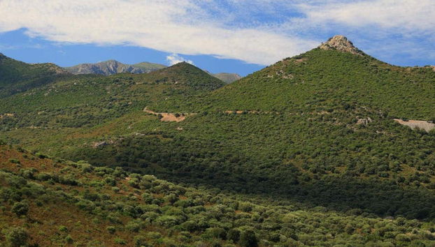 Excursion dans la vallée de l'Asco - Photo 4