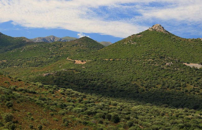 Asco Valley Jeep Tour - Photo 4