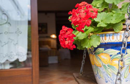 The Flowers' House - Photo 9