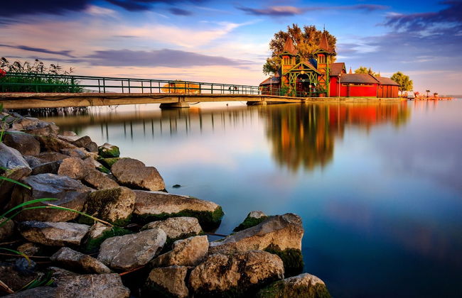 The Bird of Happiness-heaven for Dogs - Foto 17