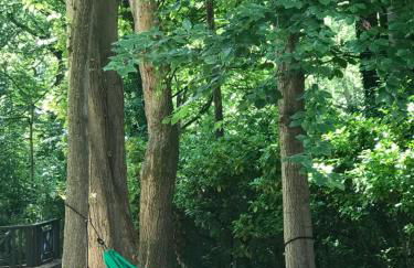 O DELA DE L'O, LE BOIS - gîte de charme entre Côte d'Albâtre et Baie de Somme - Foto 36