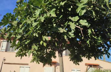 La Bastide de Claude - Foto 15