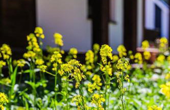 Kaszubski Dom Podcieniowy Bohema - Foto 40