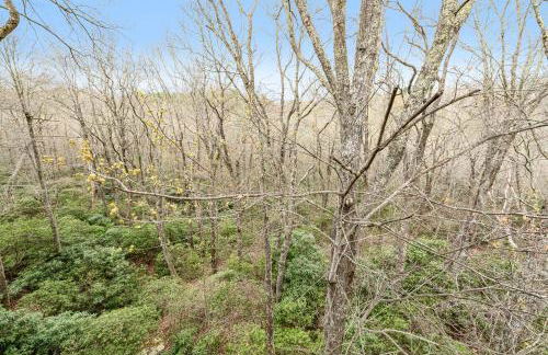 Yonahlossee Mountain Magic - Foto 39