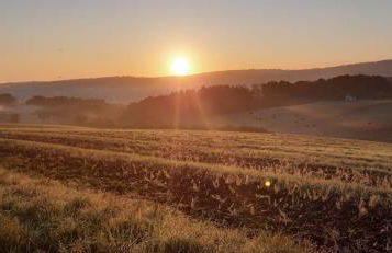 Ferienwohnung Auenland - Photo 7