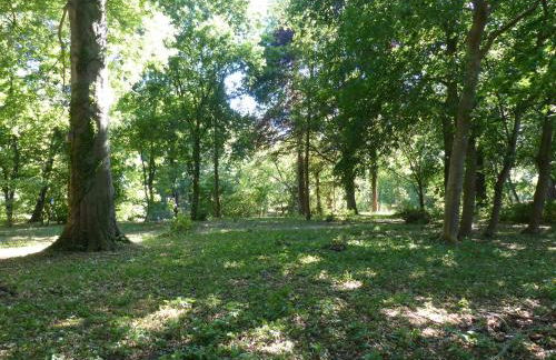 Ferienwohnung mit Brockenblick - Foto 46