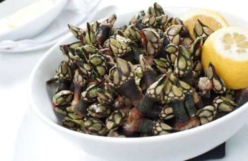 Holiday Home Heilige Efigenie by Interhome - Foto 49