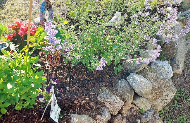 4 Star Holiday Home in Skjeberg - Foto 17