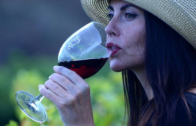 Visita della cantina Bodegas Teneguía - Foto 5