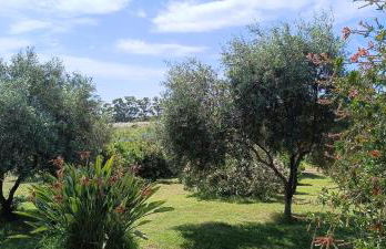 Sa Teria Village - Appartamenti - - Foto 32