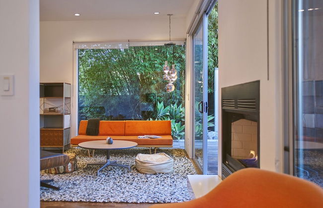 Cactus Flower - Foto 19