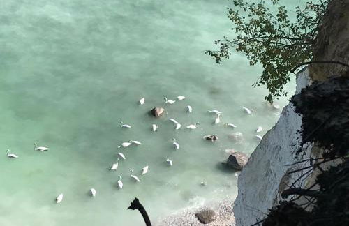 Hof Uhleck am Königsstuhl - Foto 13