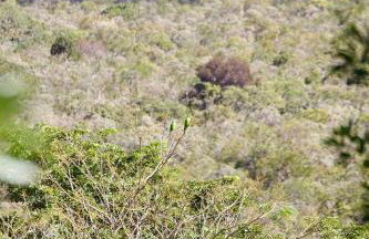 Refúgio na Lapinha com dois chalés, ideais para casal, família ou pequeno grupo de amigos, com acesso privativo à lagoa, caiaques e quadra de beach tennis - Foto 73