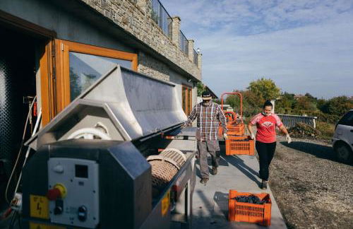 Luxe Villa, All Ensuites & Private Vineyard Views - Foto 32