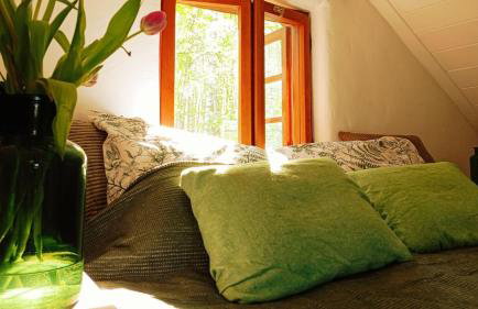 Siedlisko MiłoBrzózka - Photo 16