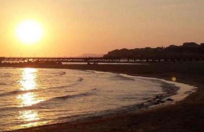 Timone d’oro - Foto 27