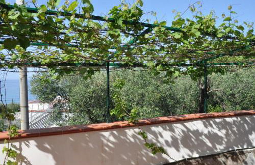 Residence San Salvatore - Foto 63