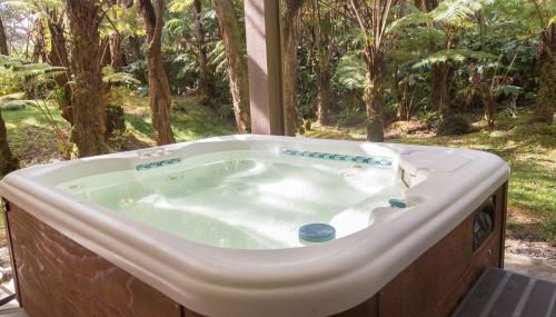 Hale Mauna Loa Upper Level with shared Hot Tub - Photo 2