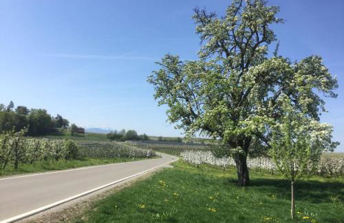 Maisonette am See - Foto 37