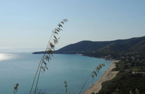 That's Amore Cilento Country House - Foto 49