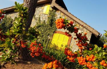 Villa Fior di Lavanda - Foto 31