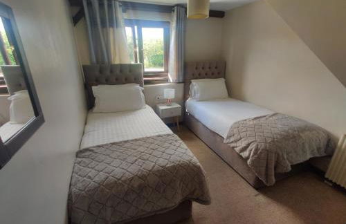 Birds Farm - Foto 24