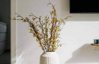 Küsten Suite de See - Suite 2 direkte Deichlage, Balkon, 77qm - Foto 22