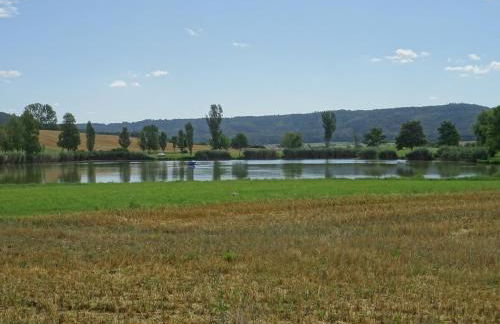 Turm im Blick - Foto 22