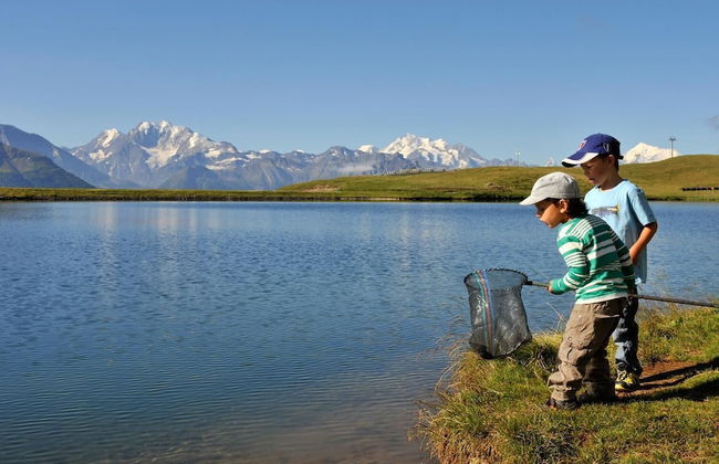 Tio Pepe UG - Foto 22