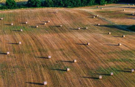 Agriturismo I Debbi - Foto 5