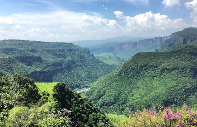 Excursion to Zapopan & Oblatos Canyon - Photo 2