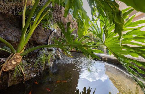 EDEN RENTALS Window To The Sea - Foto 11