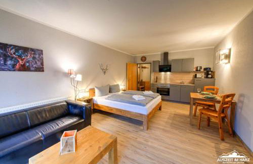 Auszeit-im-Harz Haus 5 Wohnung 11 - Foto 8