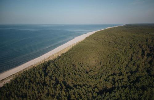 Zen Sasino - Foto 55