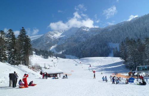 Les FEICHES et MARGUERITES - Foto 21