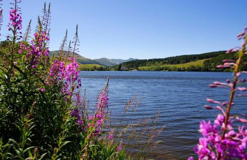 Grand appartement hyper centre haut standing - Foto 46