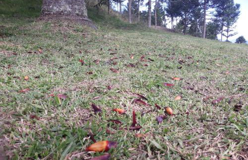 Pousada Flocos de Neve - Photo 39