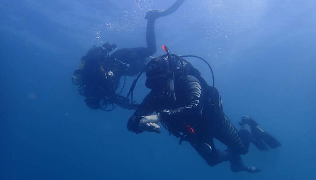 Albufeira Beginner Scuba Diving - Foto 2