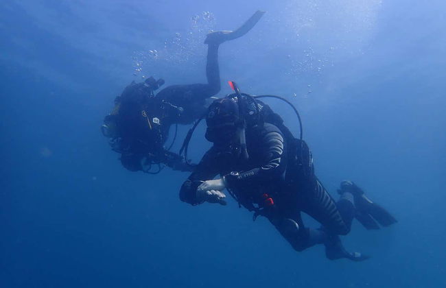 Bautismo de buceo en Albufeira - Foto 2